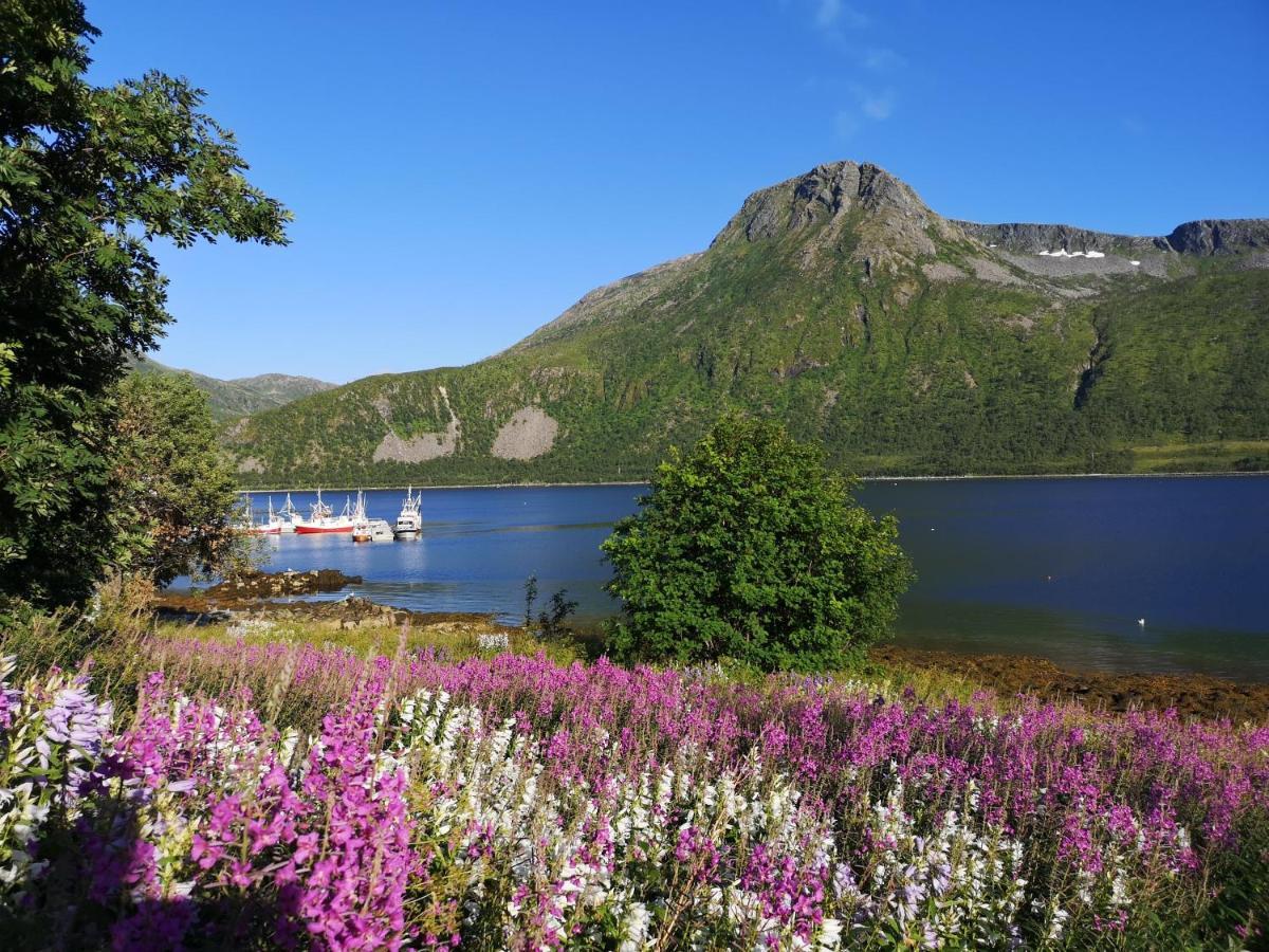 Waterfront Senja Apartment Torsken Exterior photo